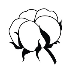 Vector illustration of a cotton flower