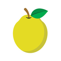 Guava With Seeds Outline Illustration