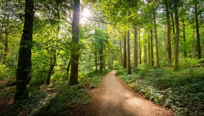 Naklejka premium a tranquil dirt path winds through a dense forest sunlight filters through the lush green leaves of the tall trees creating a peaceful and inviting scene ideal for nature explorations