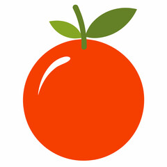 vector illustration of an orange fruit