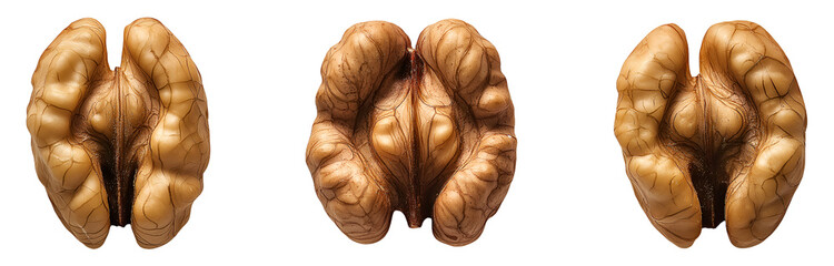 Three cut walnuts without shells , isolated on transparent background, png