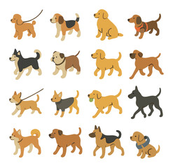Different dog sizes and breeds isometric set. small poodle on leash, medium-sized beagle, large golden retriever, dachshund in harness, husky walking