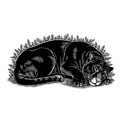 Sleeping Lying Black Panther resting gracefully on leaves in a captivating Black and White Outline Line Art Drawing