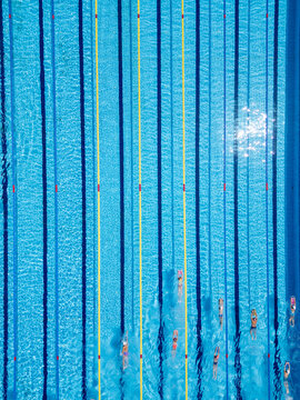 Top-down aerial view of swimmers training in an Olympic-size pool. Multiple lanes filled with people in motion. Active summer sports and fitness scene with clear blue water