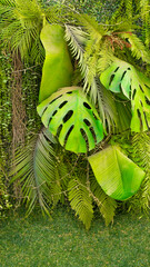 Lush green foliage with vibrant Monstera leaves creates a serene natural backdrop, perfect for depicting outdoor tranquility and botanical beauty.