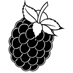 Blackberry line art vector