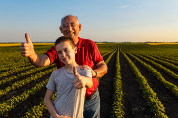 Portrait of senior farmer with his grandson standing in green soybean field and looking at camera and showing thumbs up.
