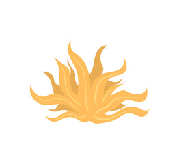 Tropical coral reef PNG. Watercolor vector with sea plants, laminaria, fish, and seaweed. Ocean biodiversity illustration for underwater nature, aquarium or exotic decoration.

