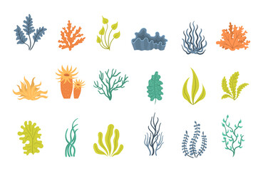 Coral reef and seaweed PNG. Vector illustration of underwater flora: tropical algae, kelp, marine plants, and ocean wildlife. Botanical set for aquarium, beach design, or sea decor.   © Little Monster 2070