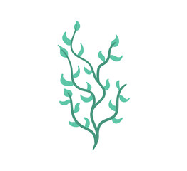 Marine flora and reef elements. PNG underwater coral, algae, kelp, and aquarium plant vector. Colourful sea life design for tropical beach background or ocean painting.

