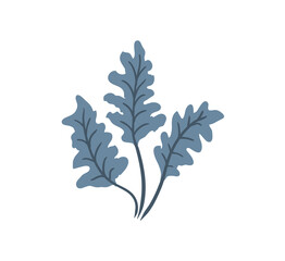 Coral reef and seaweed PNG. Vector illustration of underwater flora: tropical algae, kelp, marine plants, and ocean wildlife. Botanical set for aquarium, beach design, or sea decor.

