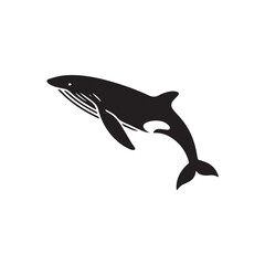 whale isolated on white background
