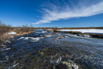 Spring at Rensjøen, Holtålen, Trøndelag, Norway