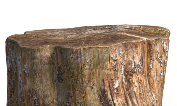 Tree stumps in various shapes and sizes isolated on transparent background
