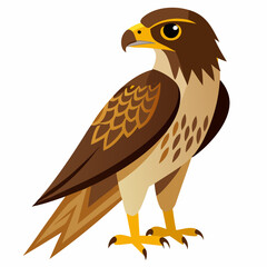 Detailed vector illustration of a hawk showcasing its sharp features isolated on a clean white background