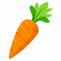 Simple Carrot Vector on White Background
