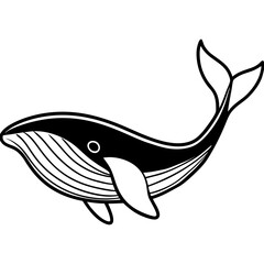 Blue Whale line line art vector