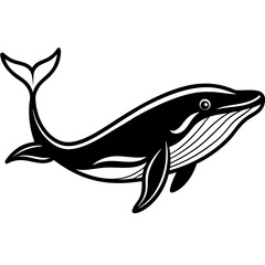 Blue Whale line line art vector