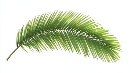 Obraz premium a palm leaf pattern clipart, tropical design, seamless vector, fresh green, isolated on white background