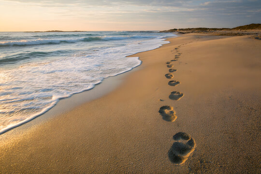 Footprints on a sandy beach, gentle waves reaching shore at sunset. Serene coastline.