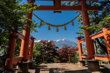 Beautiful Mount Fuji through the torii gate of the Chureito pagoda on a sunny Fujiyoshida,...