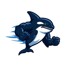 A fierce blue and white killer orca mascot logo in motion © brokenskool.studio