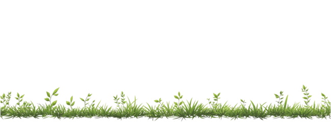 Green grass border on a white background, vector illustration. Flat design, created in Adobe Illustrator.