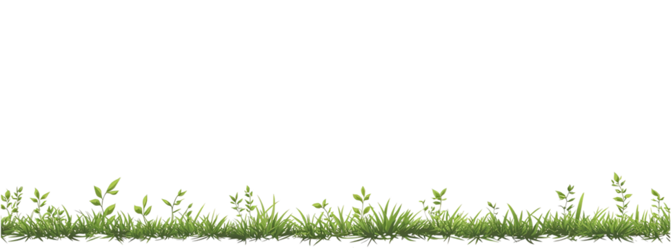 Green grass border on a white background, vector illustration. Flat design, created in Adobe Illustrator.