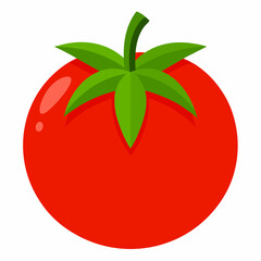 Simple Tomato Vector on White Background