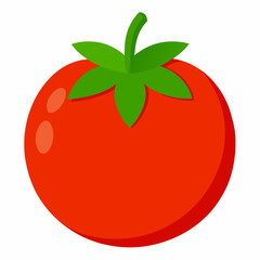 Simple Tomato Vector on White Background