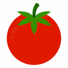 Simple Tomato Vector on White Background