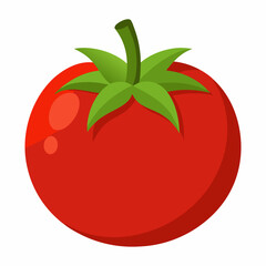 Simple Tomato Vector on White Background