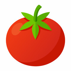 Simple Tomato Vector on White Background