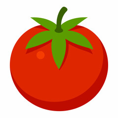 Simple Tomato Vector on White Background