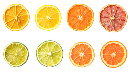 Dried and fresh citrus fruit wheel slices set, on white background. Grapefruit, orange, lemon, lime cocktail garnish decoration graphic resource, png