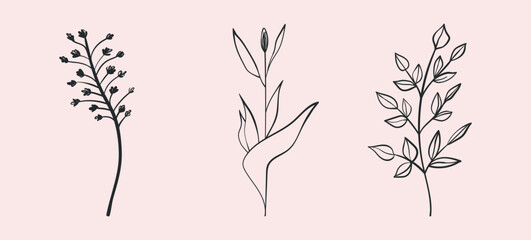 Floral set hand drawn color flowers, leaves, plants. Spring and summer cute isolated elements. Clip art for stationery, web design. Modern floral compositions. Vector illustration.