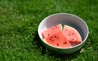 Fresh watermelon slices in a white bowl on green grass – vibrant summer refreshment and healthy...