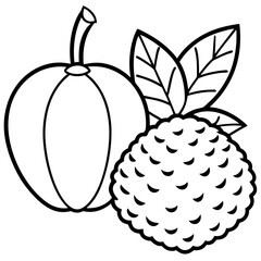 Breadfruit Apple line art vector