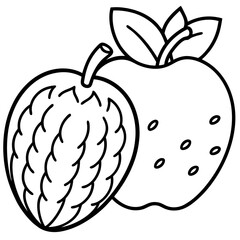Breadfruit Apple line art vector