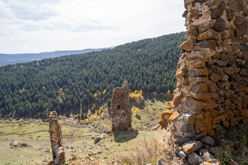 Kinzi Castle or Kindzi Castle is a medieval Georgian castle located in the historical Artani region, northwest of the Bagdashen village of the central district of Ardahan Province. It is also called "