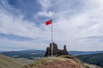 Kinzi Castle or Kindzi Castle is a medieval Georgian castle located in the historical Artani region, northwest of the Bagdashen village of the central district of Ardahan Province. It is also called "