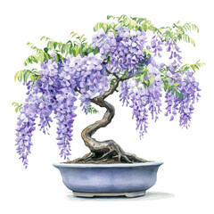 watercolor of A Wisteria Bonsai, vector high quality, isolated on a white background.