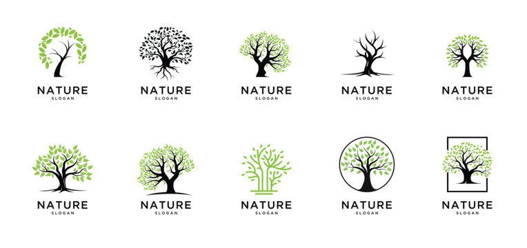 Creative tree logo design collections vector template 