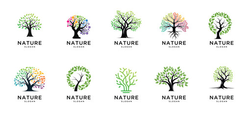 Tree logo design collections vector template 