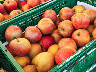 Fresh red apples in green plastic crates at market stall – perfect for grocery and harvest promo, organic fruits 