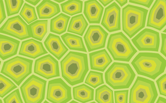 Abstract modern turtle shell seamless pattern. Animals trendy background. Orange decorative vector illustration for print, fabric, textile. Modern ornament of stylized skin.