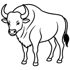 Buffalo line art vector