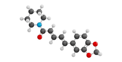 Piperine molecule isolated on transparent background. Detailed 3D model. Molecular formula: C17H19NO3. Chemical model: Ball and Stick. 3D illustration.