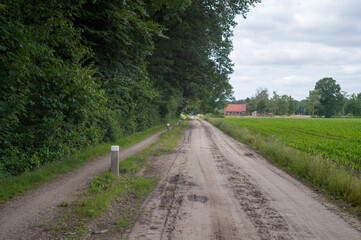 Sandy road leading to a farmhouse along green fields and forest