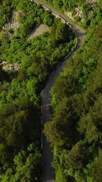 Vertical Video: motorcycle drives on the road in the forest in the mountains on a serpentine. View from above over a winding road in a green forest. Winding road in the mountains. Drone follows the